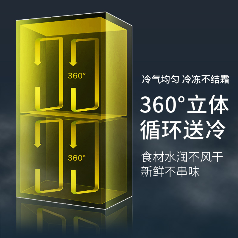 德凌思立式冷柜