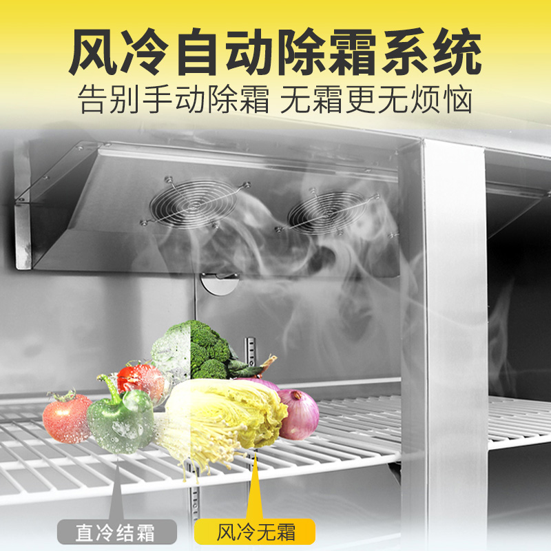 德凌思立式冷柜