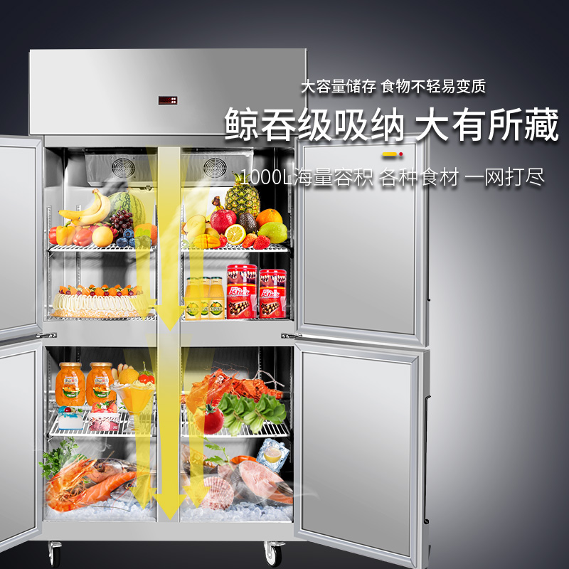 德凌思立式冷柜