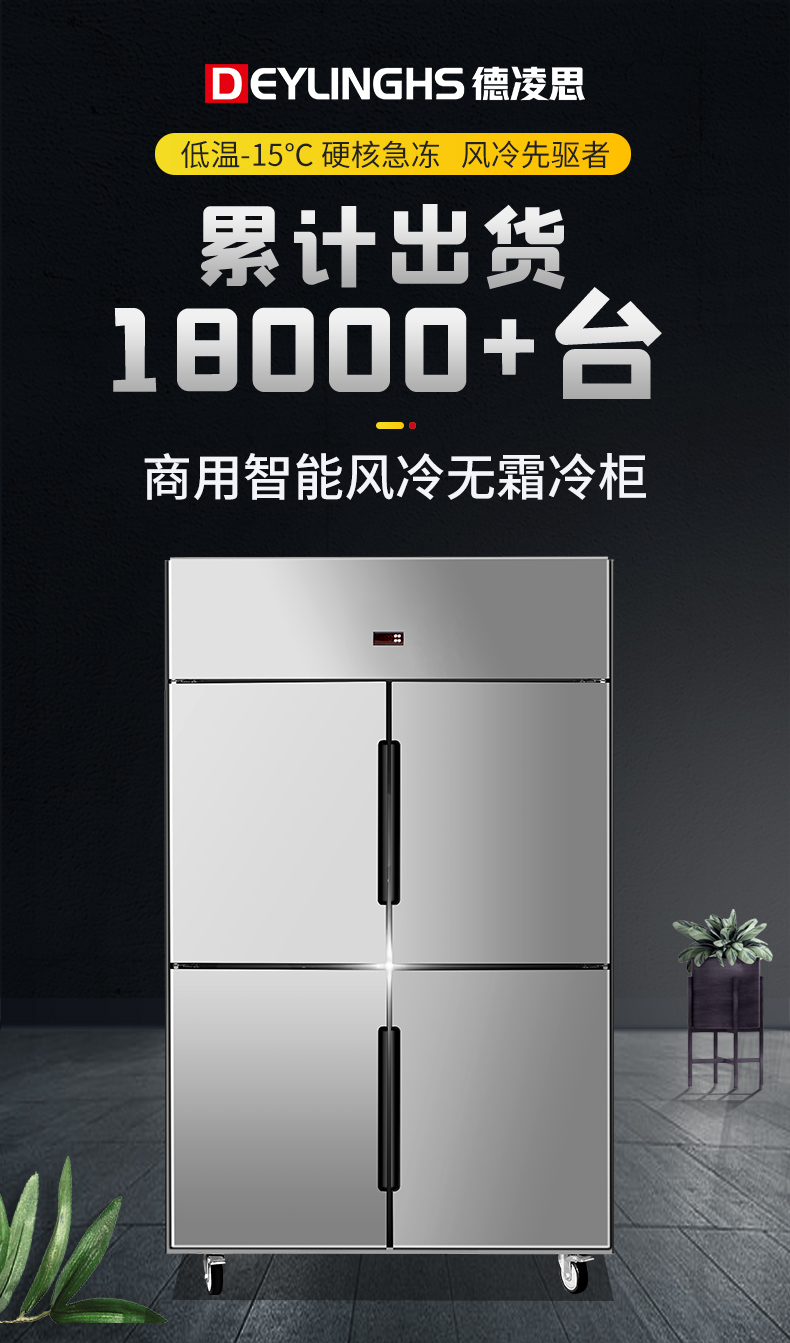 德凌思立式冷柜展示