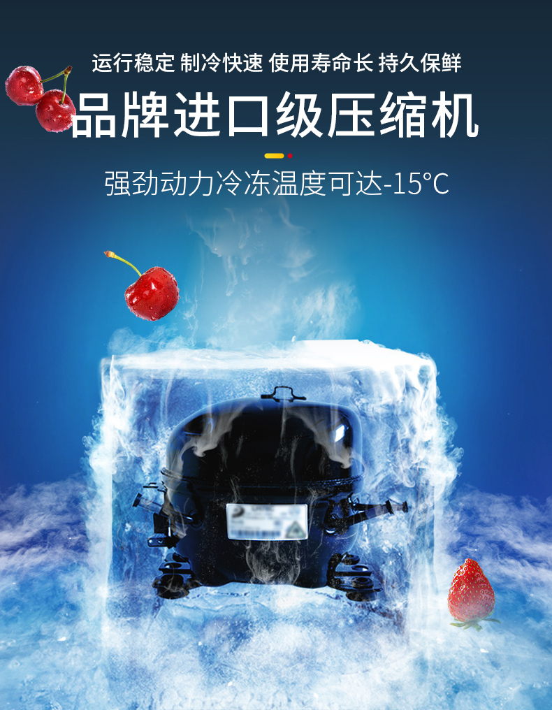 德凌思立式冷柜压缩机